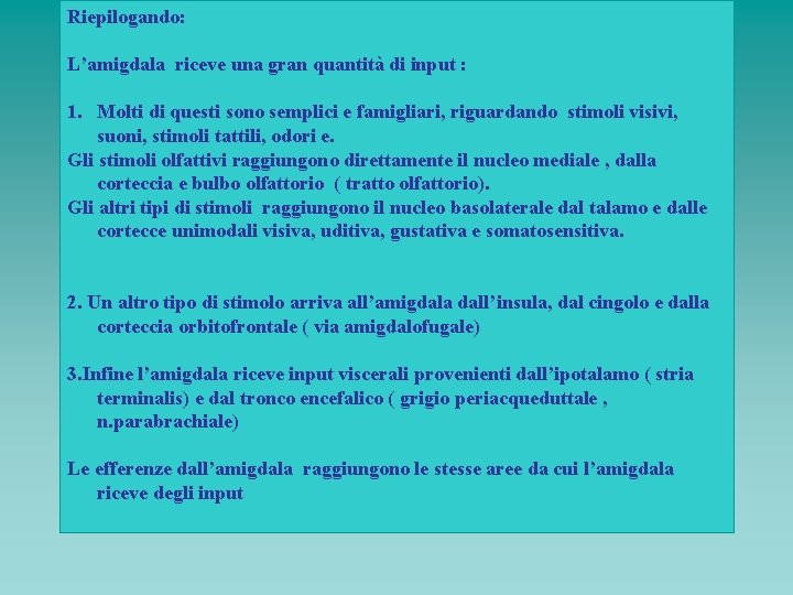 Riepilogando: L’amigdala riceve una gran quantità di input : 1. Molti di questi sono