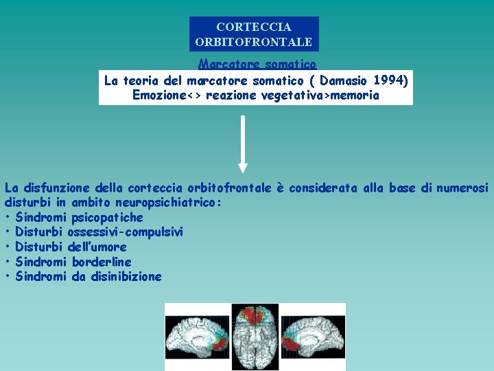 CORTECCIA ORBITOFRONTALE Marcatore somatico La teoria del marcatore somatico ( Damasio 1994) Emozione<> reazione