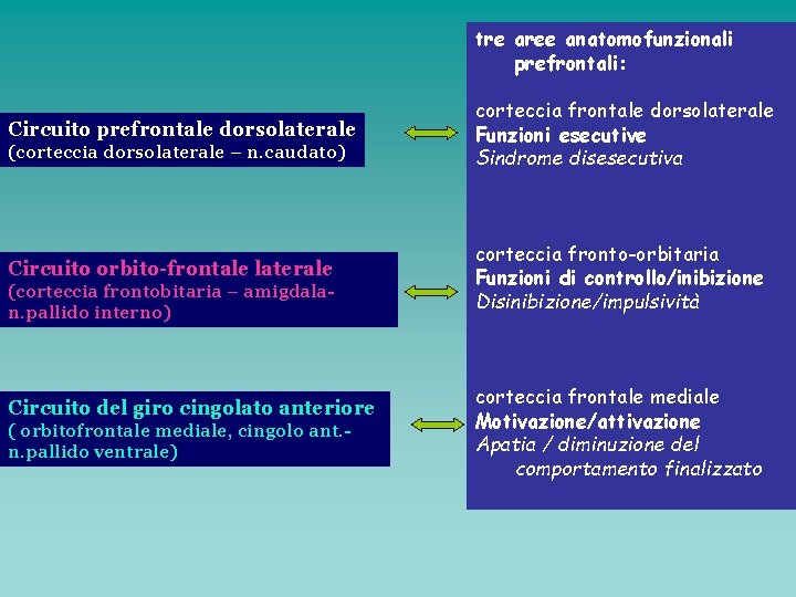 tre aree anatomofunzionali prefrontali: Circuito prefrontale dorsolaterale (corteccia dorsolaterale – n. caudato) Circuito orbito-frontale