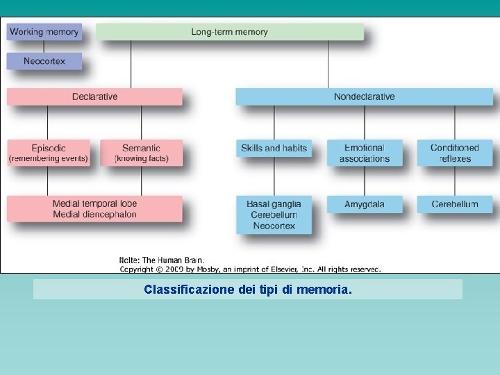 Classificazione dei tipi di memoria. 