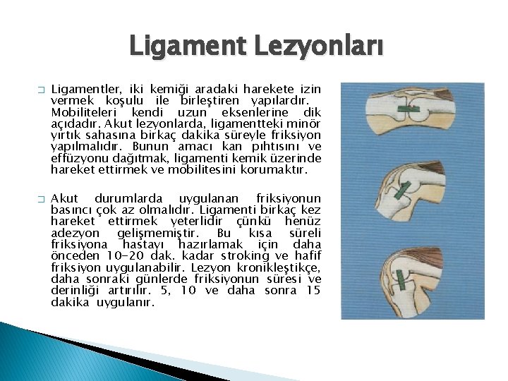 Ligament Lezyonları � � Ligamentler, iki kemiği aradaki harekete izin vermek koşulu ile birleştiren