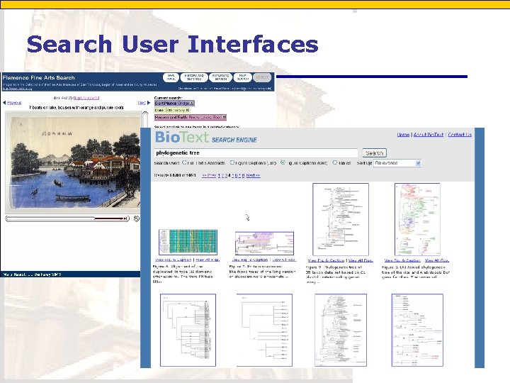 Search User Interfaces 