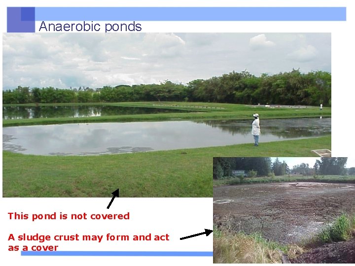 Anaerobic ponds This pond is not covered A sludge crust may form and act