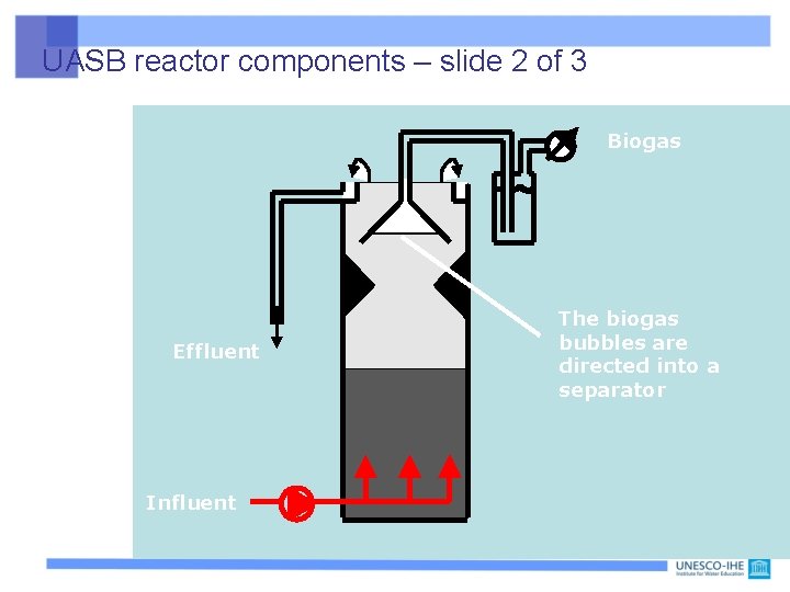 UASB reactor components – slide 2 of 3 Biogas Effluent Influent The biogas bubbles