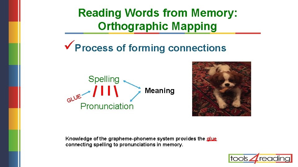 Reading Words from Memory: Orthographic Mapping üProcess of forming connections Spelling E U L