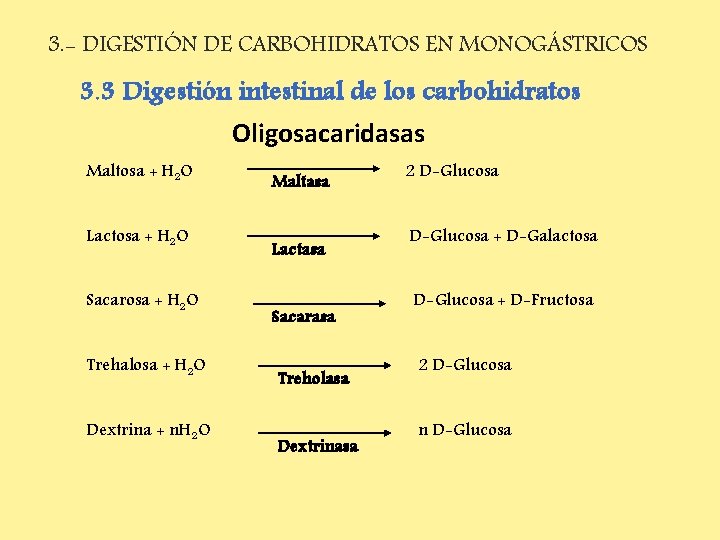 3. - DIGESTIÓN DE CARBOHIDRATOS EN MONOGÁSTRICOS 3. 3 Digestión intestinal de los carbohidratos