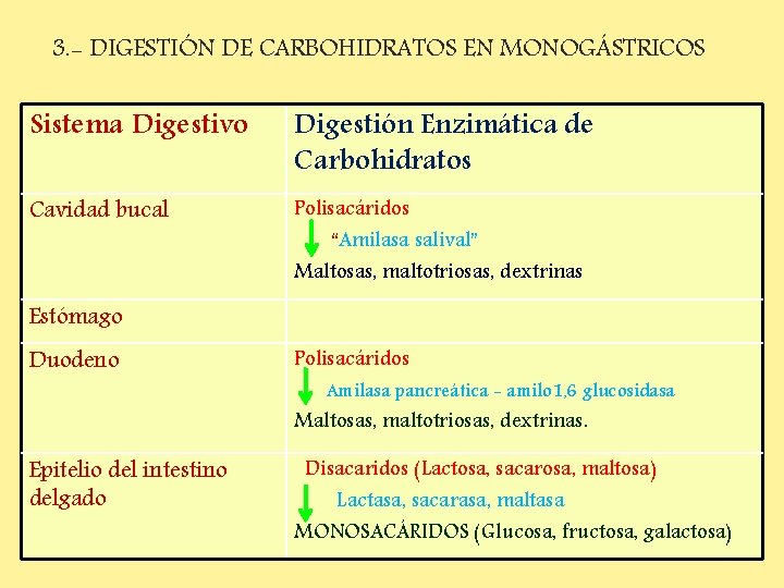 3. - DIGESTIÓN DE CARBOHIDRATOS EN MONOGÁSTRICOS Sistema Digestivo Digestión Enzimática de Carbohidratos Cavidad