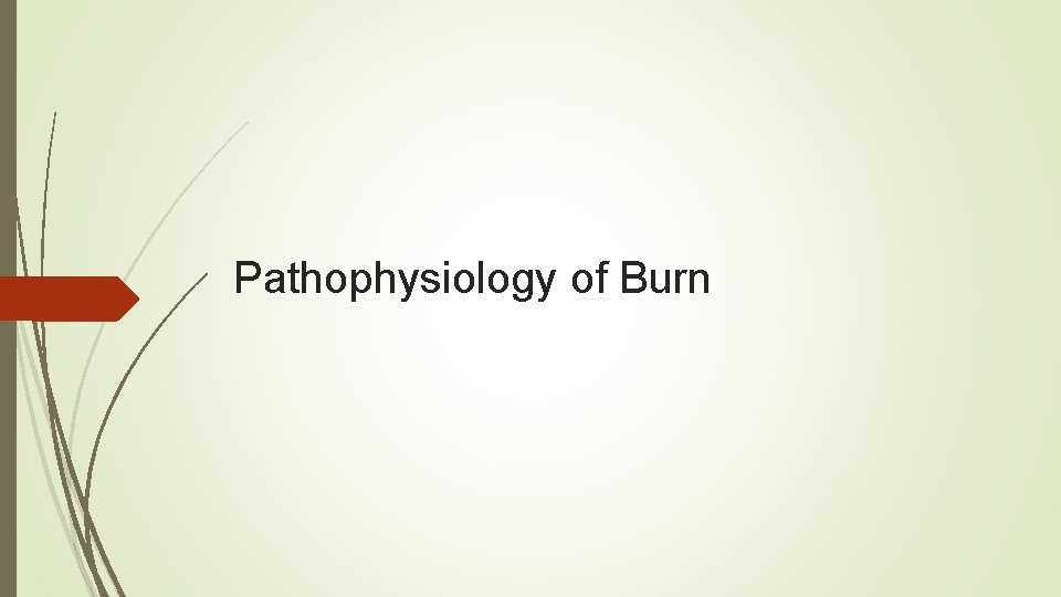 Pathophysiology of Burn 