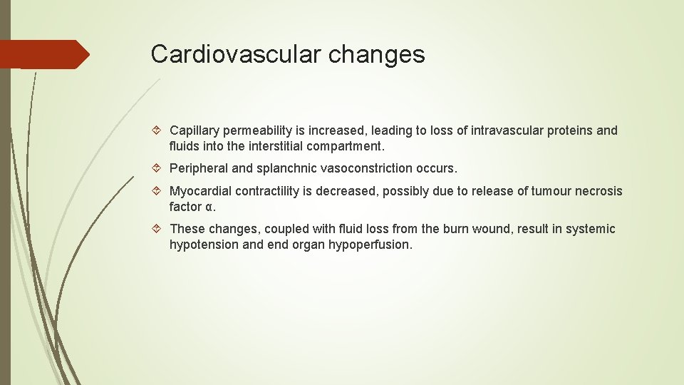 Cardiovascular changes Capillary permeability is increased, leading to loss of intravascular proteins and fluids