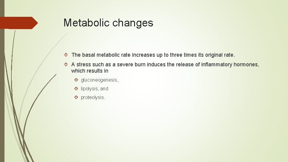 Metabolic changes The basal metabolic rate increases up to three times its original rate.