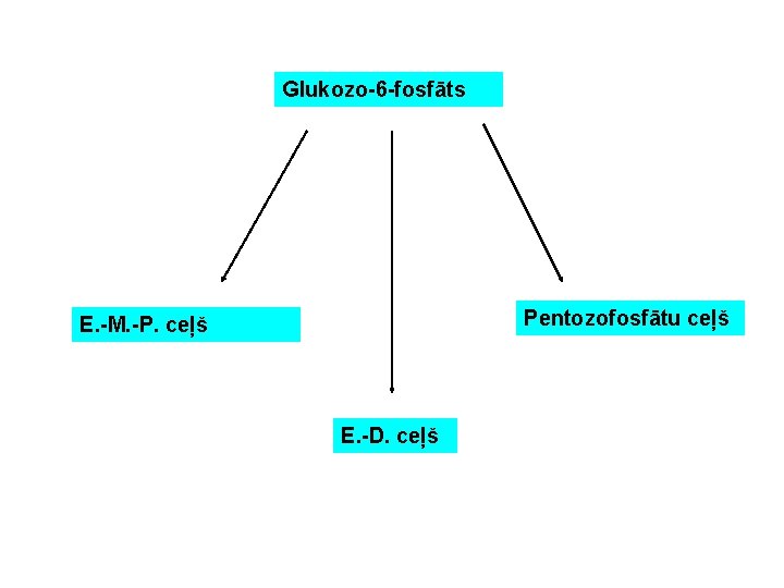 Glukozo-6 -fosfāts Pentozofosfātu ceļš E. -M. -P. ceļš E. -D. ceļš 