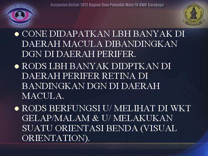 CONE DIDAPATKAN LBH BANYAK DI DAERAH MACULA DIBANDINGKAN DGN DI DAERAH PERIFER. l RODS