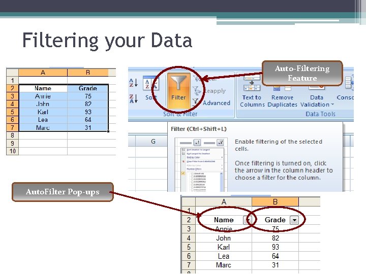 Filtering your Data Auto-Filtering Feature Auto. Filter Pop-ups 