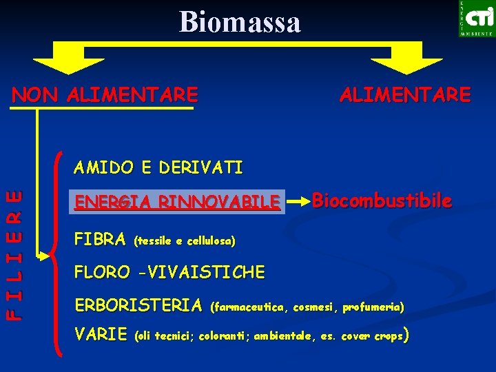 Biomassa F I L I E R E NON ALIMENTARE AMIDO E DERIVATI ENERGIA