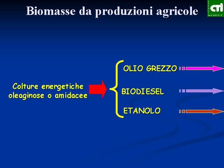 Biomasse da produzioni agricole OLIO GREZZO Colture energetiche oleaginose o amidacee BIODIESEL ETANOLO 