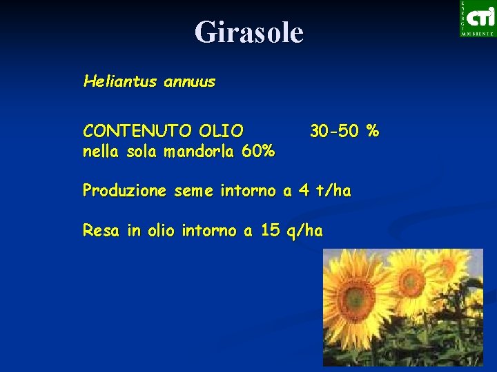 Girasole Heliantus annuus CONTENUTO OLIO nella sola mandorla 60% 30 -50 % Produzione seme