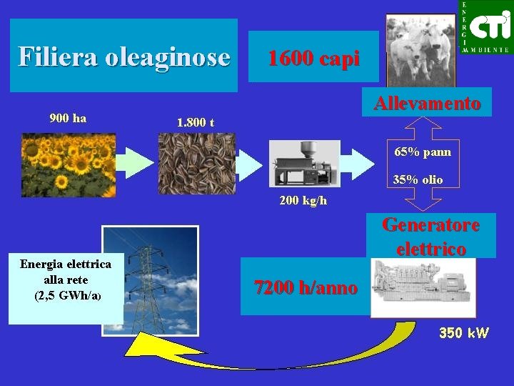 Filiera oleaginose 1600 capi Allevamento Generatore elettrico 7200 h/anno 