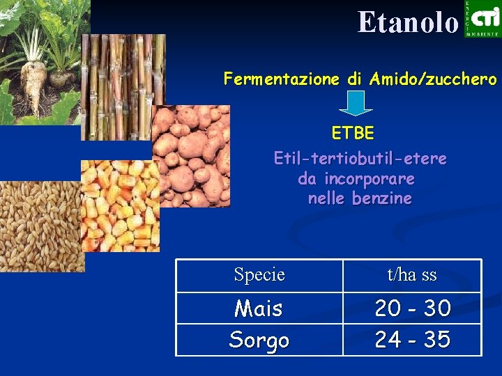 Etanolo Fermentazione di Amido/zucchero ETBE Etil-tertiobutil-etere da incorporare nelle benzine Specie t/ha ss Mais