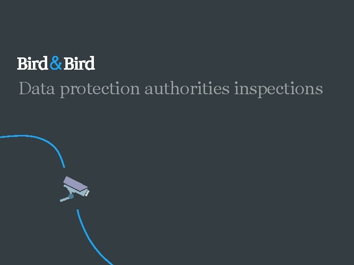 Data protection authorities inspections 