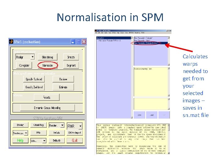 Normalisation in SPM Calculates warps needed to get from your selected images – saves