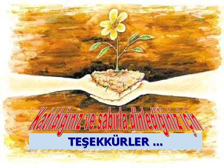 TEŞEKKÜRLER. . . 