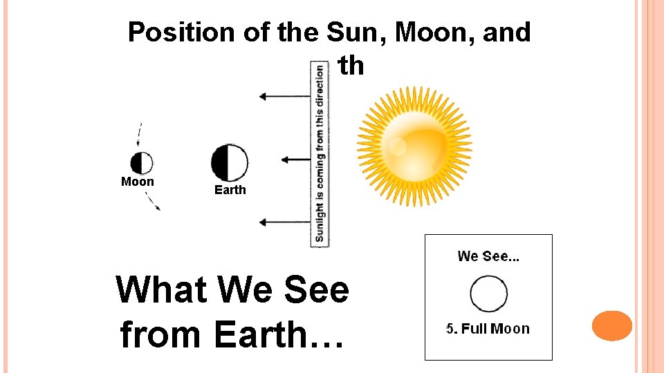 Position of the Sun, Moon, and Earth Moon Earth What We See from Earth…