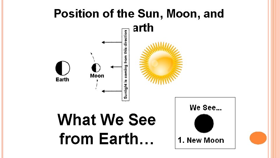 Position of the Sun, Moon, and Earth Moon What We See from Earth… 1.