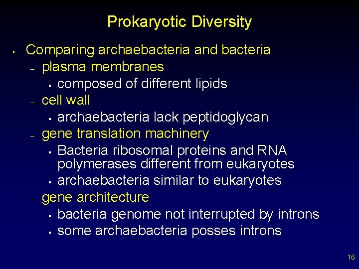 Prokaryotic Diversity • Comparing archaebacteria and bacteria – plasma membranes § composed of different