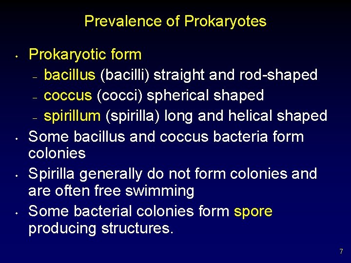 Prevalence of Prokaryotes • • Prokaryotic form – bacillus (bacilli) straight and rod-shaped –