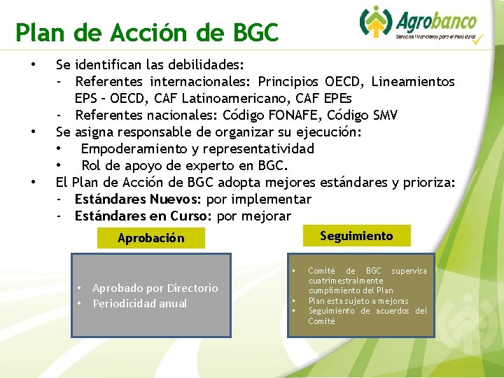 Plan de Acción de BGC • • • Se identifican las debilidades: - Referentes