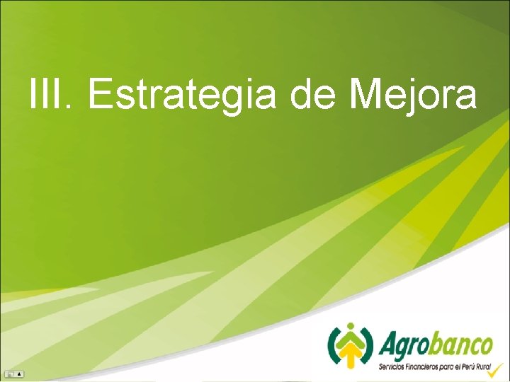 III. Estrategia de Mejora 