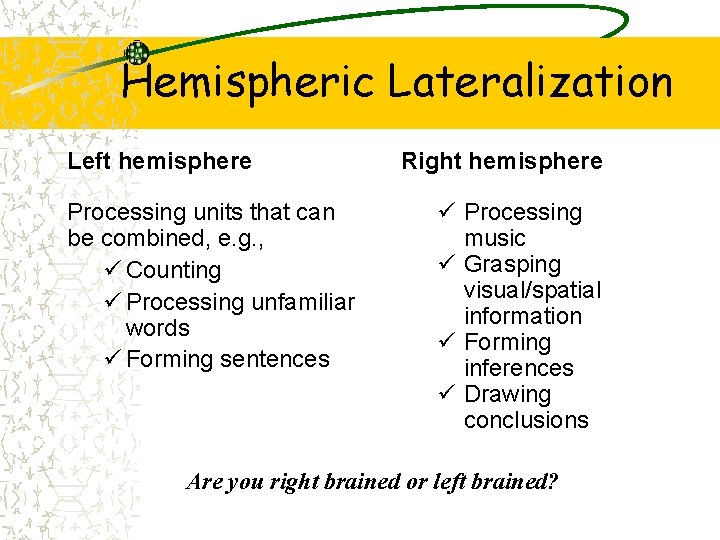 Hemispheric Lateralization Left hemisphere Processing units that can be combined, e. g. , ü