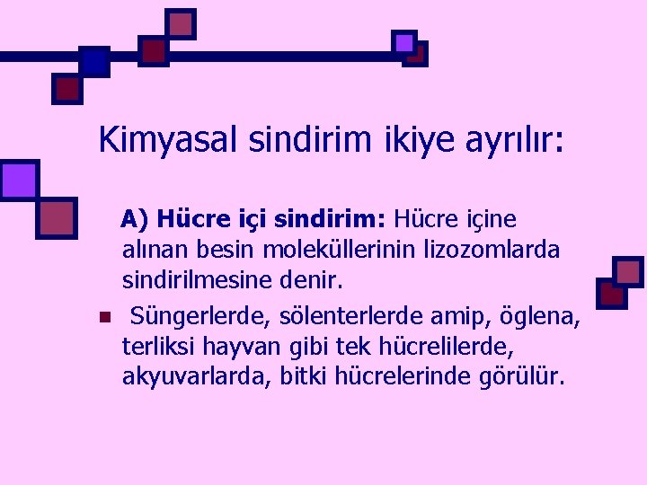 Kimyasal sindirim ikiye ayrılır: n A) Hücre içi sindirim: Hücre içine alınan besin moleküllerinin