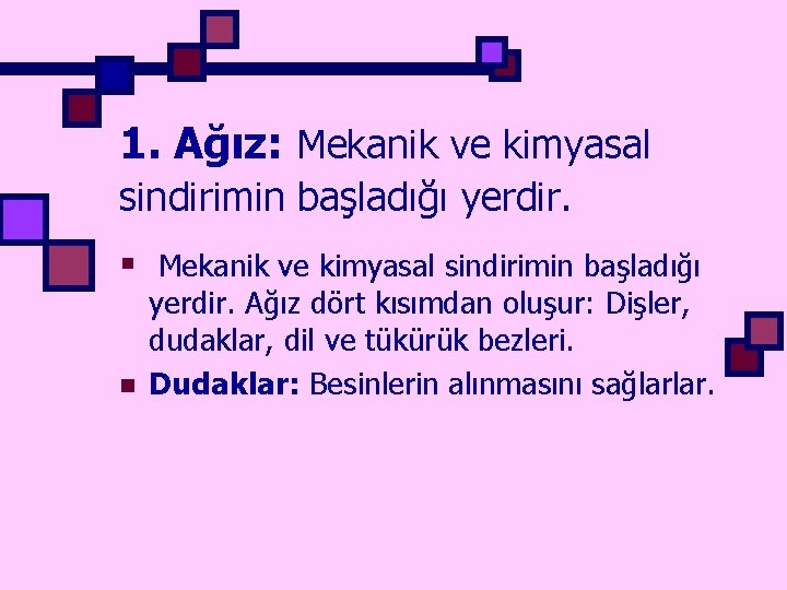 1. Ağız: Mekanik ve kimyasal sindirimin başladığı yerdir. § Mekanik ve kimyasal sindirimin başladığı