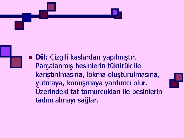 n Dil: Çizgili kaslardan yapılmıştır. Parçalanmış besinlerin tükürük ile karıştırılmasına, lokma oluşturulmasına, yutmaya, konuşmaya