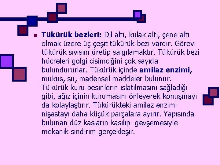 n Tükürük bezleri: Dil altı, kulak altı, çene altı olmak üzere üç çeşit tükürük