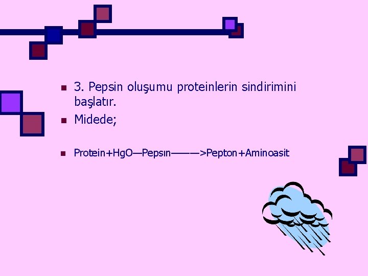 n 3. Pepsin oluşumu proteinlerin sindirimini başlatır. Midede; n Protein+Hg. O—Pepsın———>Pepton+Aminoasit n 