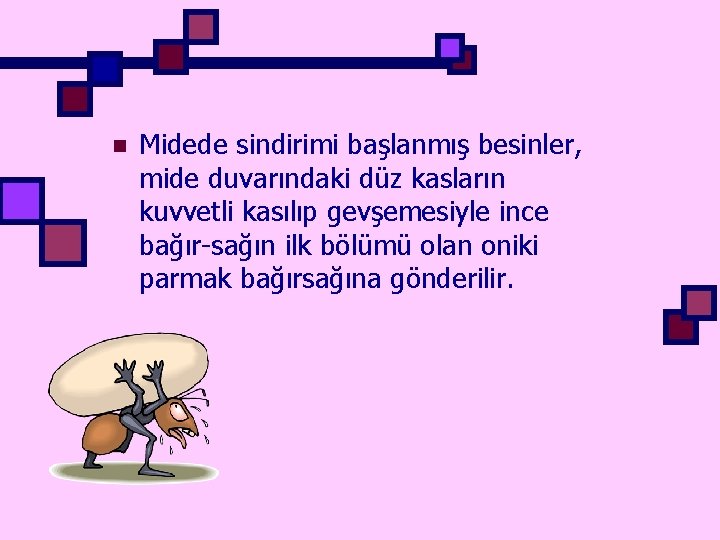 n Midede sindirimi başlanmış besinler, mide duvarındaki düz kasların kuvvetli kasılıp gevşemesiyle ince bağır-sağın