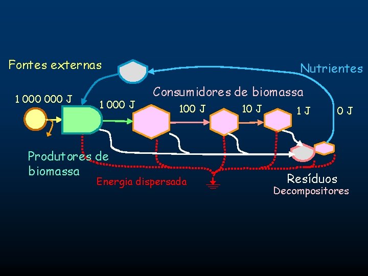 Fontes externas 1 000 J Produtores de biomassa Nutrientes Consumidores de biomassa 100 J