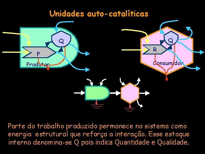 Unidades auto-catalíticas Q Q P Produtor R Consumidor Parte do trabalho produzido permanece no
