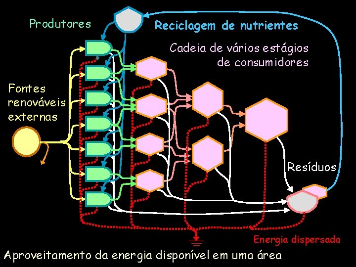 Produtores Reciclagem de nutrientes Cadeia de vários estágios de consumidores Fontes renováveis externas Resíduos