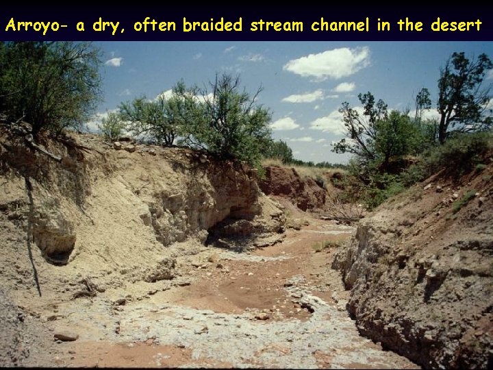 Arroyo- a dry, often braided stream channel in the desert 