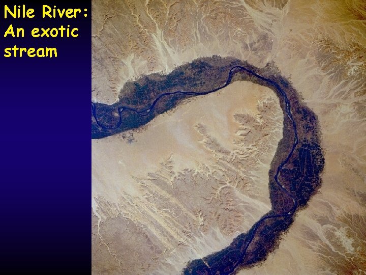 Nile River: An exotic stream 