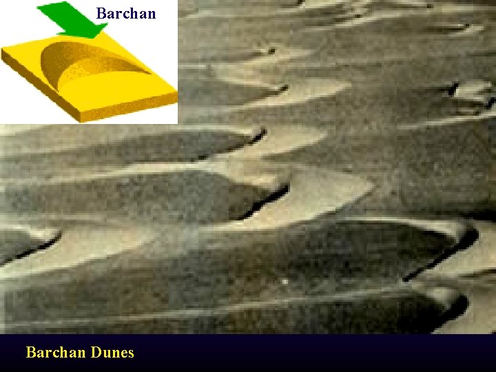 Barchan Dunes 