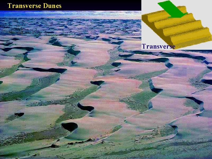 Transverse Dunes Transverse 