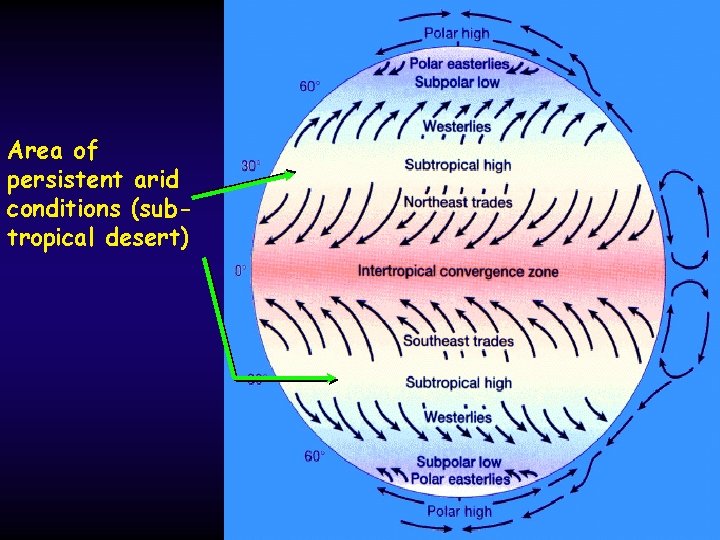 Area of persistent arid conditions (subtropical desert) 