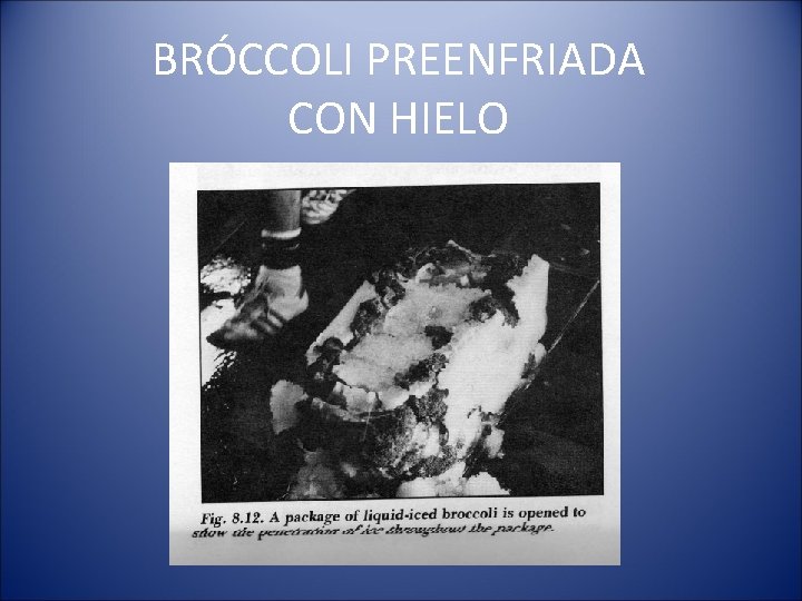 BRÓCCOLI PREENFRIADA CON HIELO 