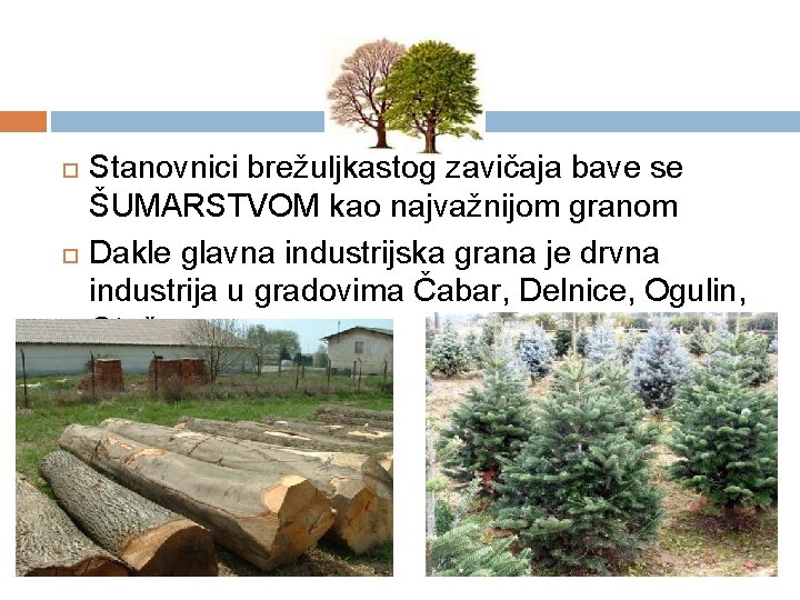  Stanovnici brežuljkastog zavičaja bave se ŠUMARSTVOM kao najvažnijom granom Dakle glavna industrijska grana