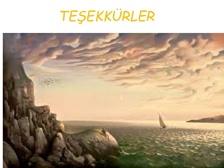 TEŞEKKÜRLER 