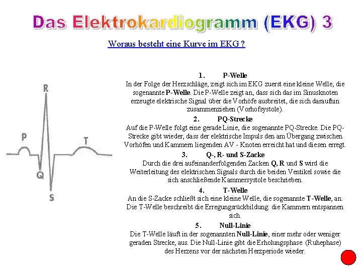 Woraus besteht eine Kurve im EKG ? 1. P-Welle In der Folge der Herzschläge,